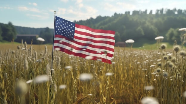 USA Flag on Flower Field photo