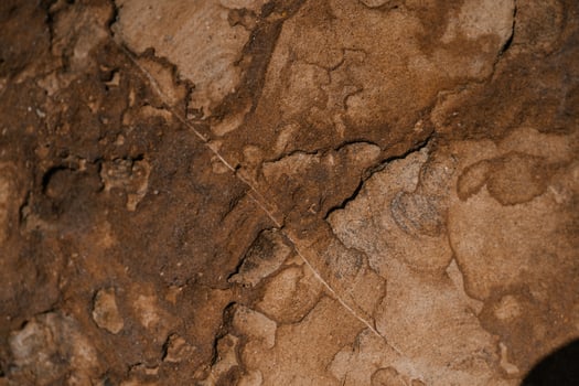 Background with the texture of natural stone. photo