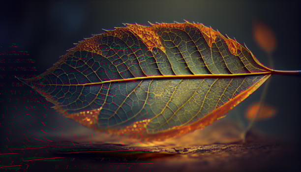 Autumn leaf displays vibrant color and veins generated by AI photo