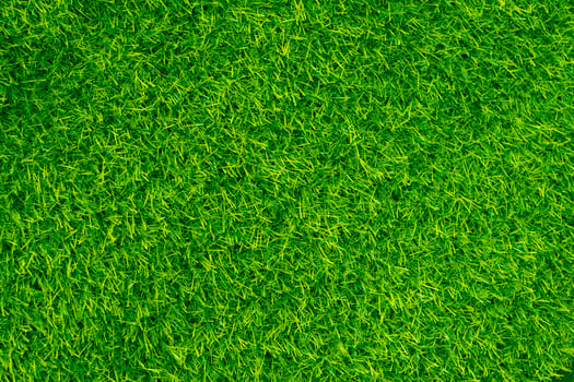 Green grass texture background grass garden concept used for making green background football pitch, Grass Golf, green lawn pattern textured background.. photo