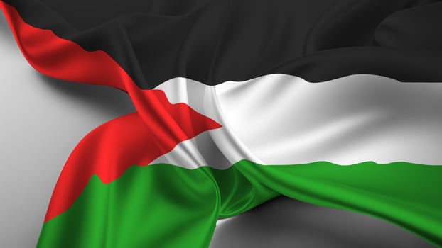 Waving flag of palestine on grey background 3d illustration photo