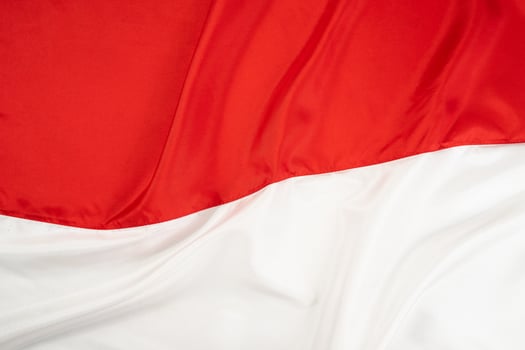 Wavy Indonesian national flag texture photo