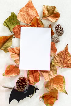 Banner. Modern background with autumn leaves and bat. Halloween with copy space for text. photo
