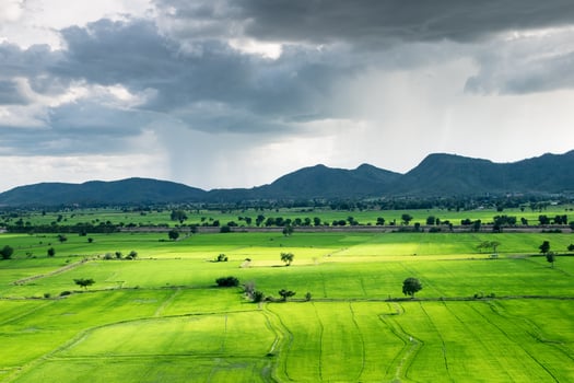 Light shine green fields and mountain photo
