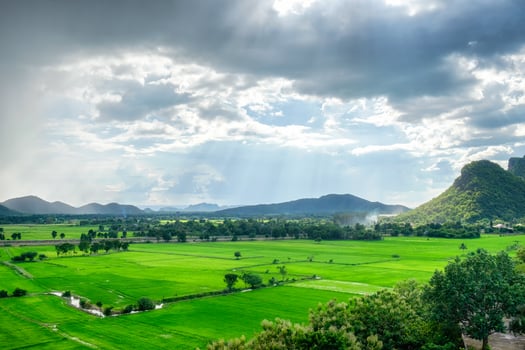 Green field mountain in countryside photo