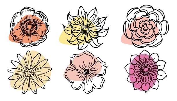 Flowers vector set illustration in simple minimal continuous outline line style. Nature blossom art for floral botanical logo design. Isolated on white background. photo