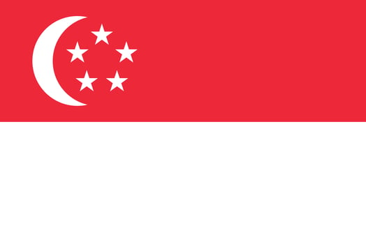 Flag of Singapore. The official colors and proportions are correct. National flag of Singapore. Singapore flag illustration. photo