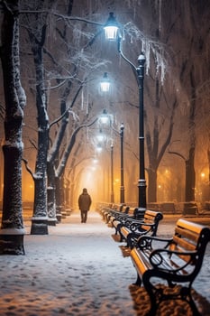 Winter park at night with trees covered with snow, benches and lanterns. photo