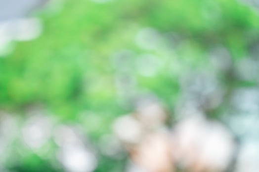 Amazing nature view of green leaf on blurred greenery background photo
