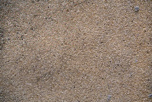 Sea sand. The Texture and background. photo