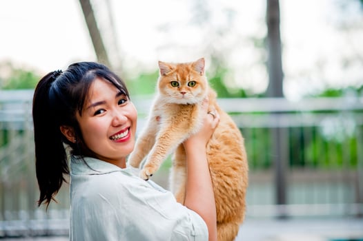 Woman holding cat playing at home with love for cats The smile glints in his bond with his fluffy pet cat. The relationship of people and cats, cat owners, domestic cats, fat cats photo