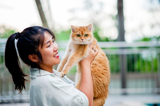 Woman holding cat playing at home with love for cats The smile glints in his bond with his fluffy pet cat. The relationship of people and cats, cat owners, domestic cats, fat cats photo