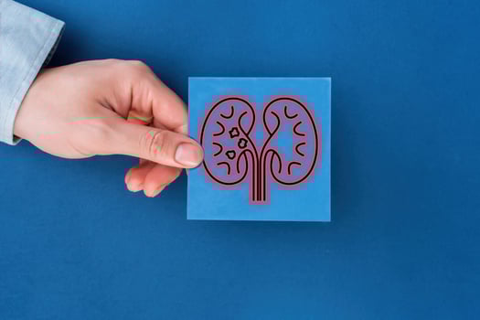 Adult hand holding kidney shaped paper on textured blue background, world kidney day, National Organ Donor Day, charity donation concept. photo