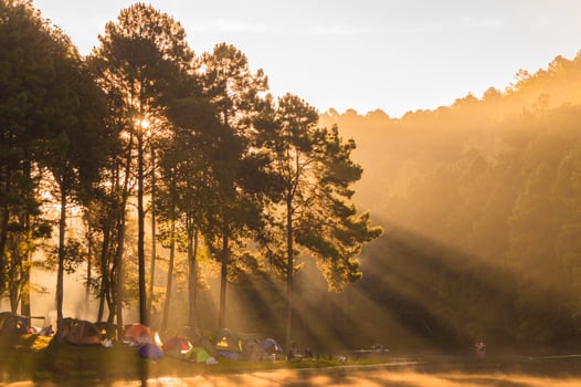 morning camping winter forest photo