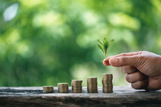 The green plant grow on coin stack is a business growth concept. The hand that is holding coin tree with some natural background is shown the business success in an investment of environmental ecology photo