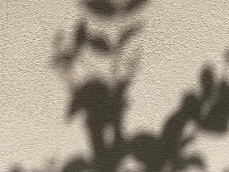 Leaves shadow background on concrete wall texture, leaves tree branches shade photo