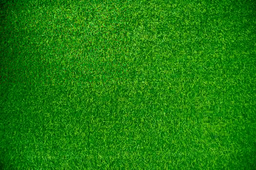 Green grass texture background grass garden concept used for making green background football pitch, Grass Golf, green lawn pattern textured background..... photo