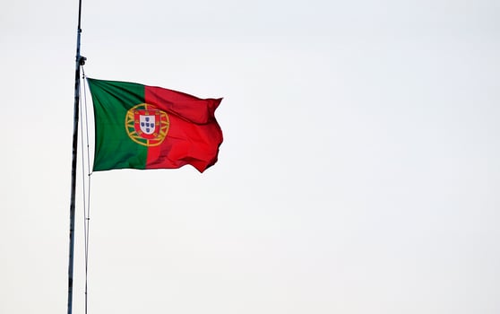 Portuguese flag waving in the wind against a clear sky photo