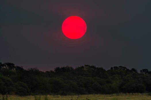 a red sun is seen in the sky over a field photo