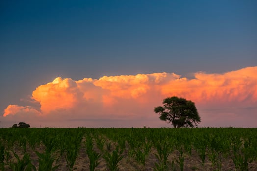 Night Pampas route  landscape, La Pampa Province, Patagonia, Argentina photo
