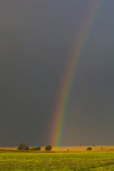 a rainbow is seen in the sky over a field photo