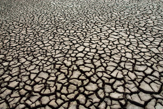 a dry cracked earth surface photo