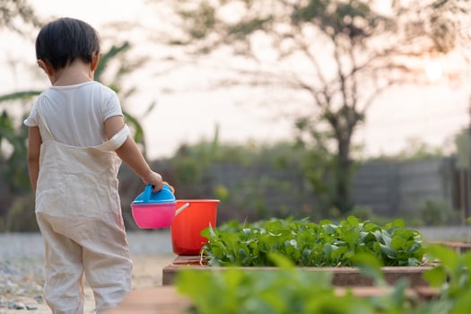 Organic farming at home, organic vegetable farm. Children planting organic vegetables . Non toxic vegetable grow naturally. greenhouse garden, Ecological Biological, Healthy, Vegetarian, ecology photo