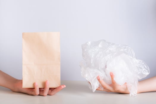 Choice between eco-friendly paper bag and disposable plastic bag photo