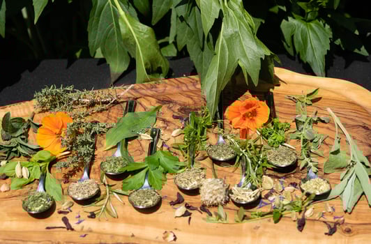fresh and dried herbs and spices from all over the world photo