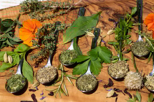 fresh and dried herbs and spices from all over the world photo