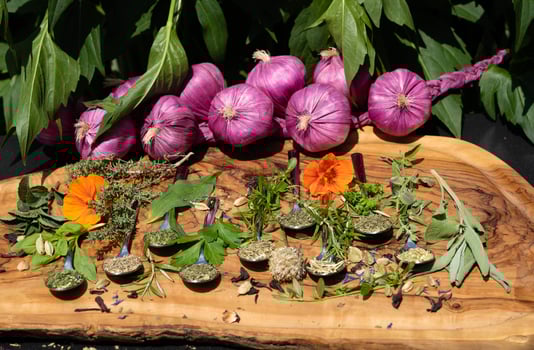 fresh and dried herbs and spices from all over the world photo