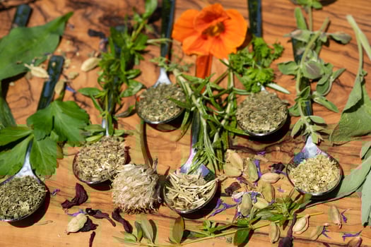 fresh and dried herbs and spices from all over the world photo