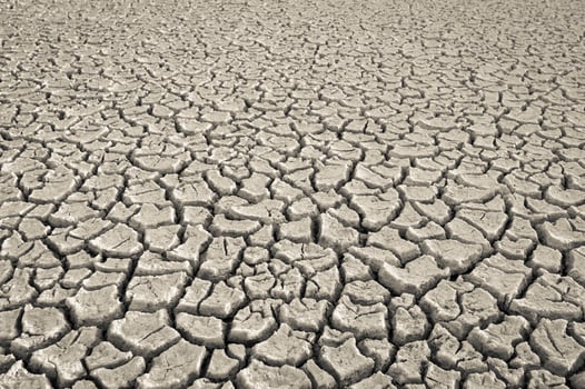 Broken soil in Pampas environment , Patagonia, Argentina. photo