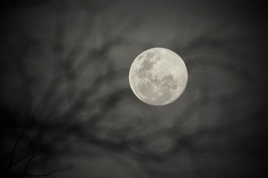 Moonrise , Full moon in the sky, Patagonia, Argentina photo