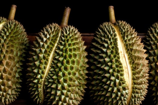 durian photography Food Photography photo