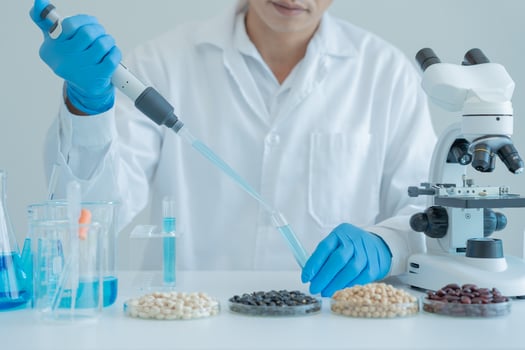Scientist check chemical whole grains residues in laboratory. Control experts inspect the concentration of chemical residues. hazards, standard, prohibited substances, contaminate, Microbiologist photo