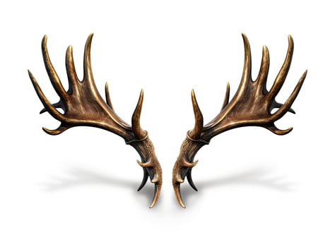 Large deer antlers on white background. created with technology photo