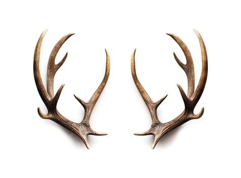 Large deer antlers on white background. created with technology photo