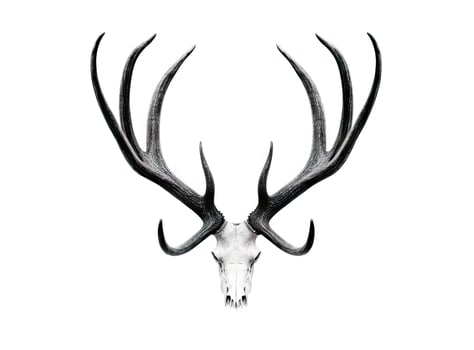 Large deer antlers on white background. created with technology photo
