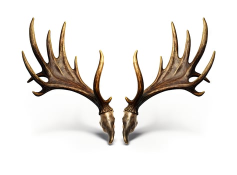 Large deer antlers on white background. created with technology photo