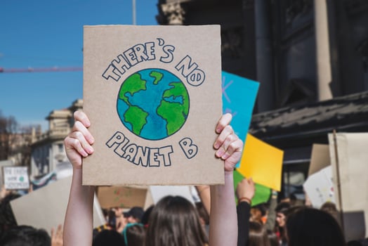 There is no planet b poster claim during a street protest for climate change, fridays for future photo