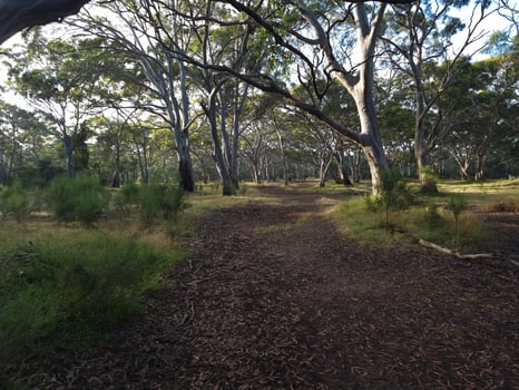 Buckley Falls Park, Victoria Australia photo