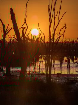 Winton Wetlands, Victoria, Australia photo