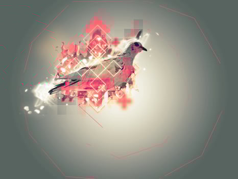 Abstract pigeon illustration photo