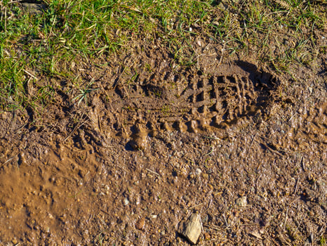 Footprint in the mud - grass and mud texture photo