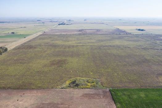 Cultivated fields in the Pampas region, Argentina. photo