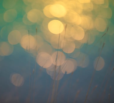 Bokeh background over nature photo