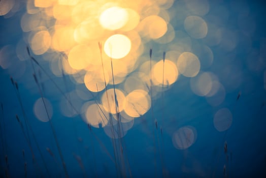 Grass, abstract, background photo