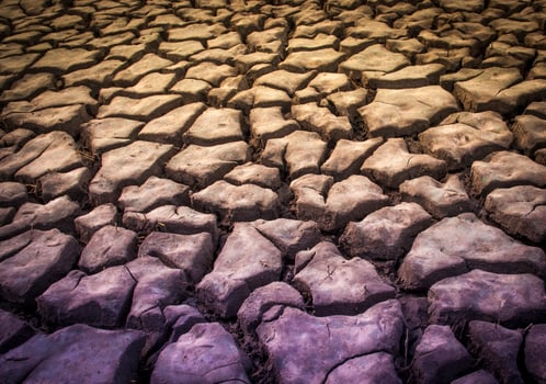 Broken soil in Pampas environment , Patagonia, Argentina. photo