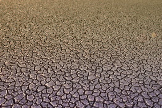 Broken soil in Pampas environment , Patagonia, Argentina. photo